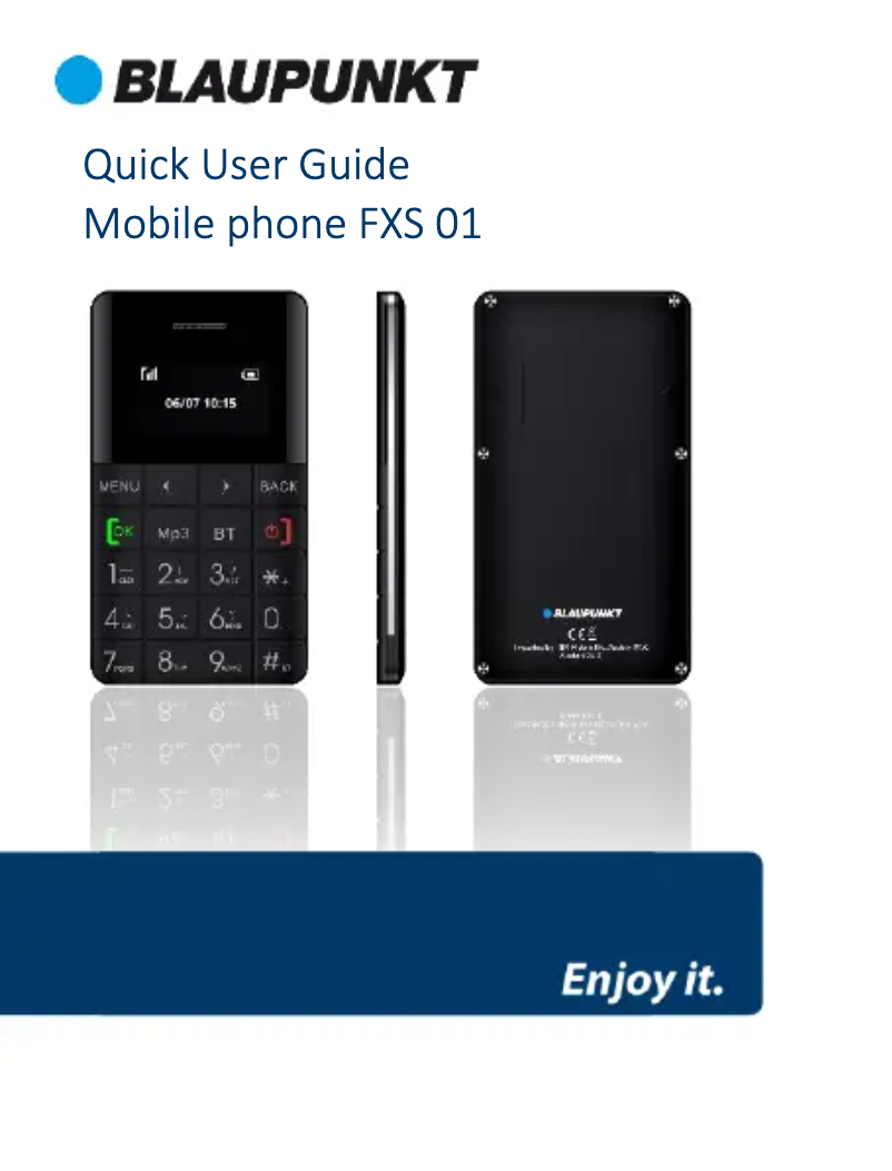 Page 1 de la notice Manuel utilisateur Blaupunkt FXS 01