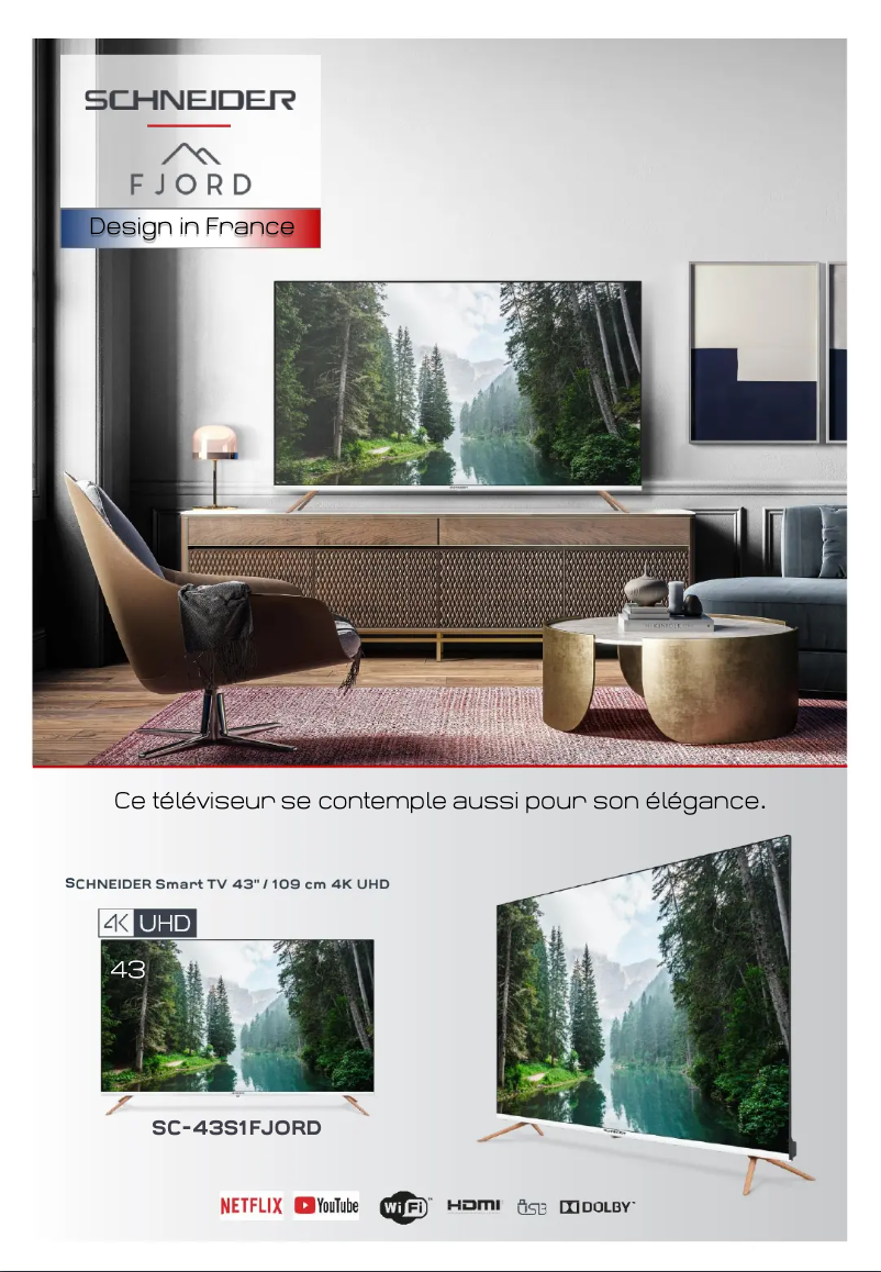 Page 1 de la notice Fiche technique Schneider SC-43S1FJORD