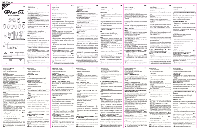 Page 1 de la notice Manuel utilisateur GP Batteries PowerBank 202160