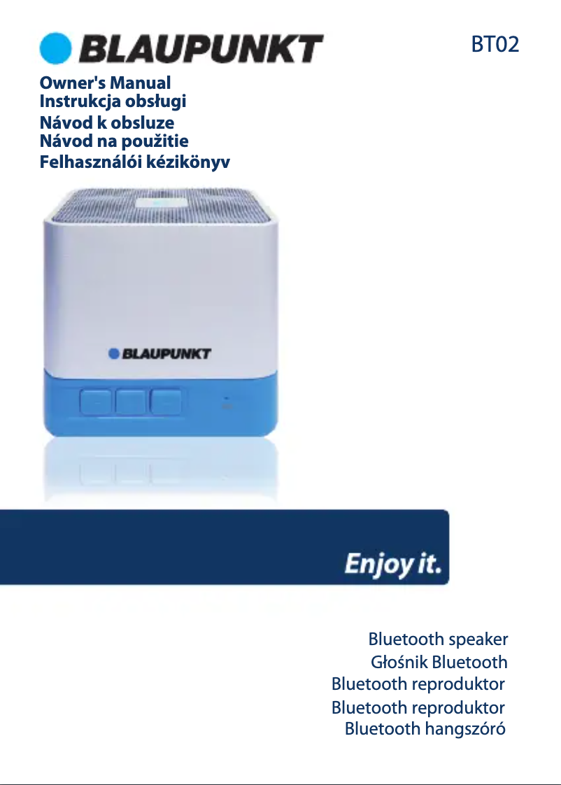 Image de la première page du manuel de l'appareil BT02GR