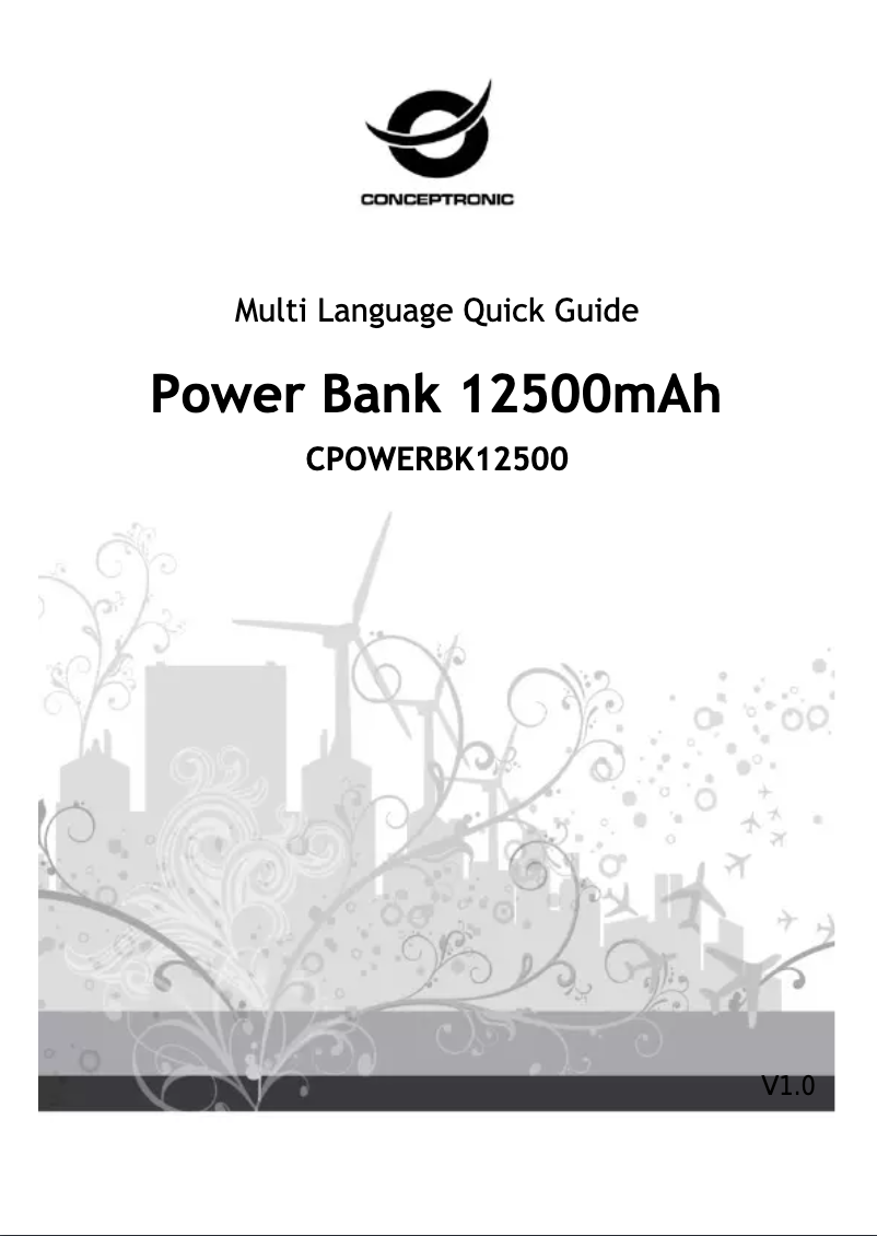 Page 1 de la notice Manuel utilisateur Conceptronic CPOWERBK12500