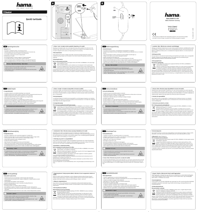 Page 1 de la notice Manuel utilisateur Hama HS-USB300