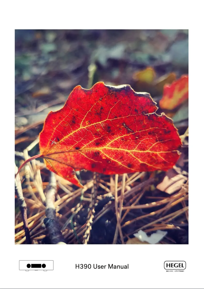 Page 1 de la notice Manuel utilisateur Hegel H390