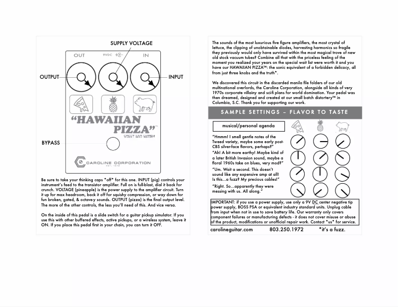 Page 1 de la notice Manuel utilisateur Caroline Hawaiian Pizza