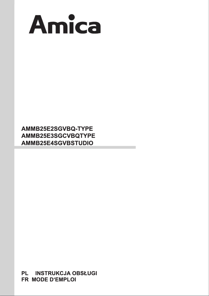Page n°1 - Manuel utilisateur Amica AMMB25E2SGVB Q-TYPE