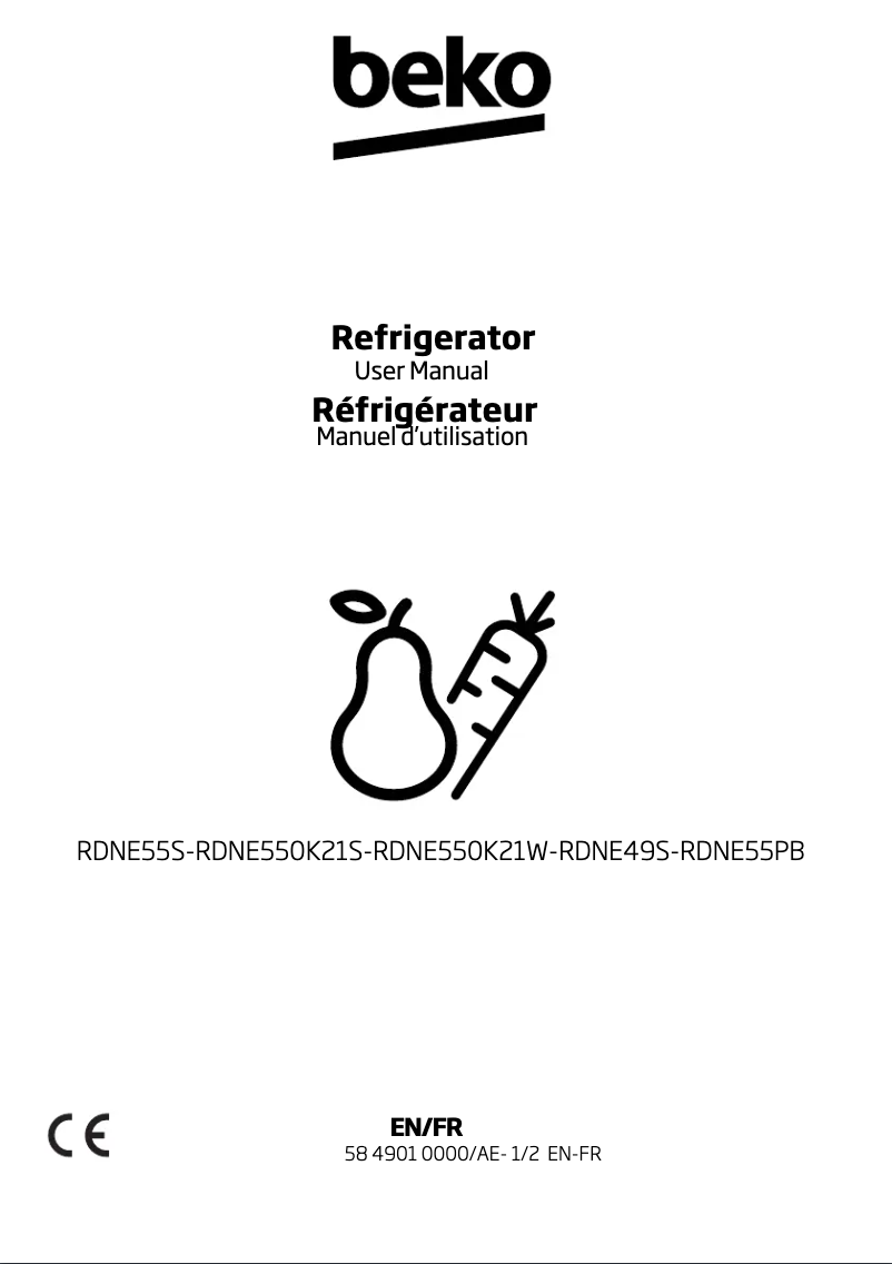 Image de la première page du manuel de l'appareil RDNE55S