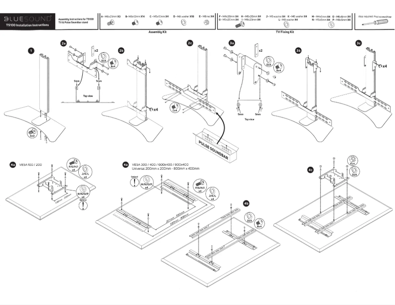 Page 1 de la notice Manuel utilisateur Bluesound TS100
