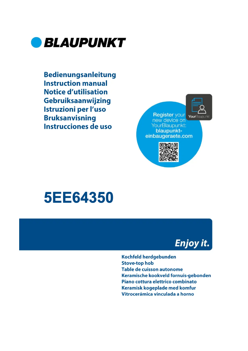 Page n°1 - Guide d'installation Blaupunkt 5EE64350