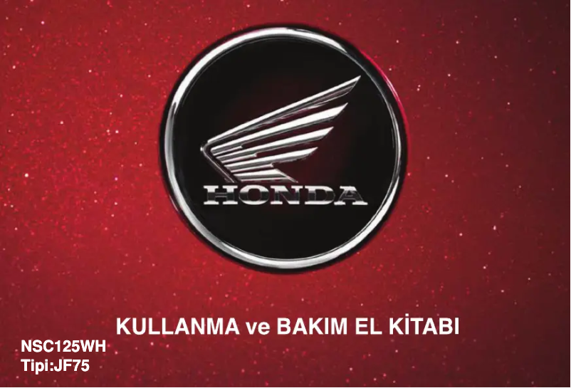 Image de la première page du manuel de l'appareil Activa 125 (2017)