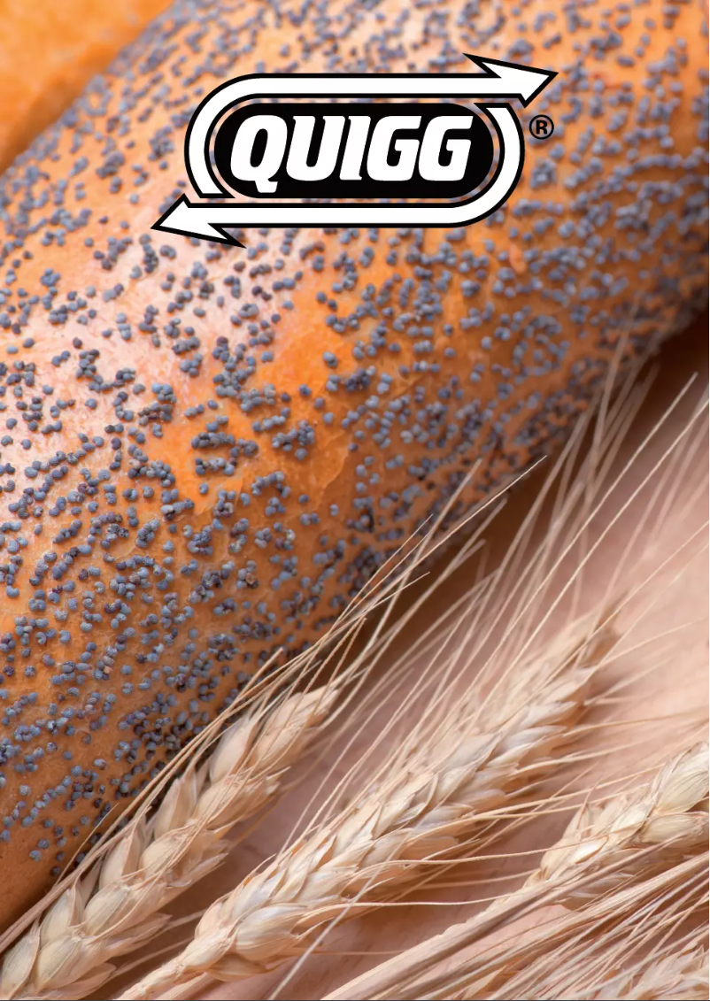 Page 1 de la notice Manuel utilisateur Quigg BM3