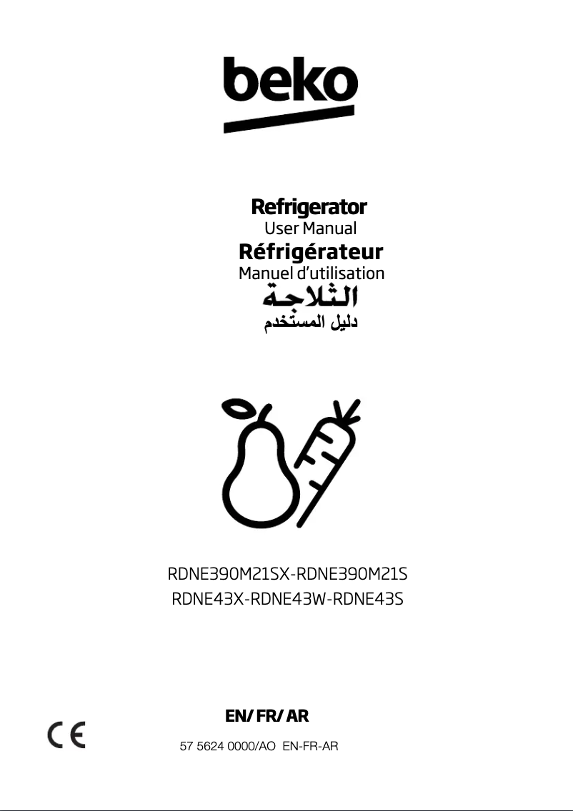 Image de la première page du manuel de l'appareil RDNE43S