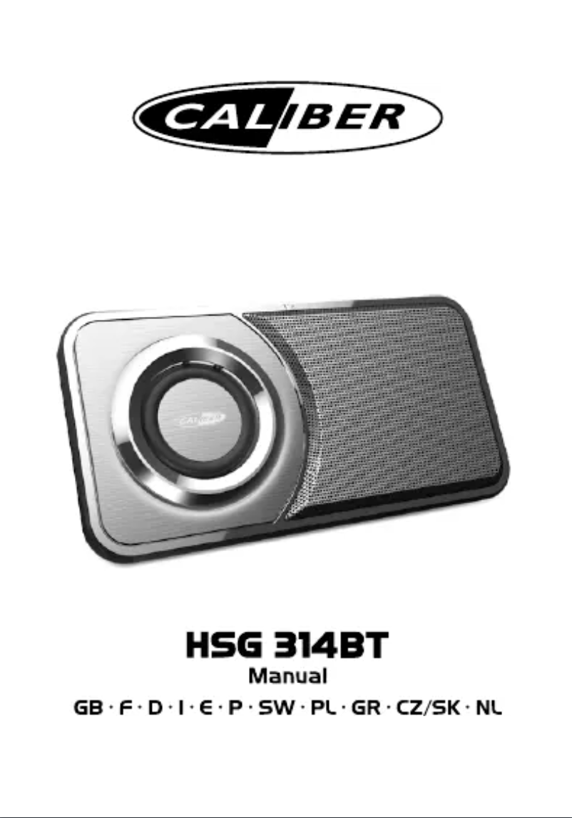 Image de la première page du manuel de l'appareil HSG314BT