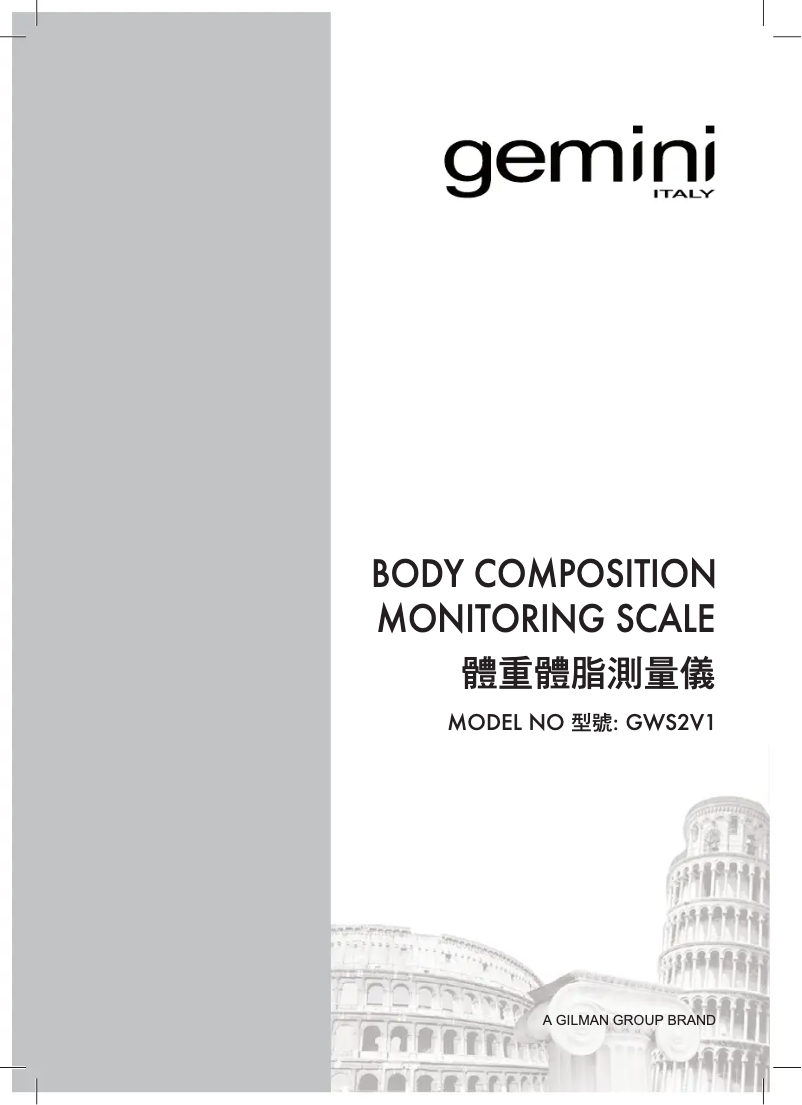 Page n°1 - Manuel utilisateur Gemini GWS2V1