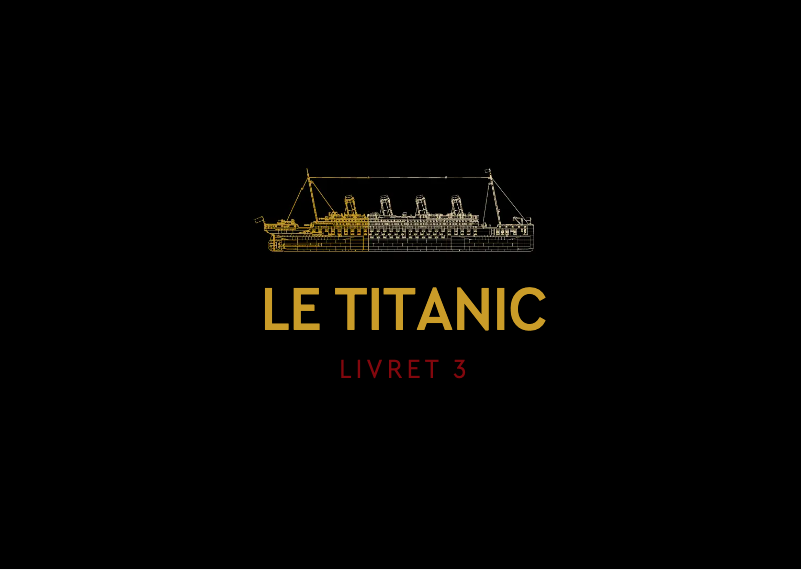 Page n°1 - Manuel utilisateur Lego Icons 10294