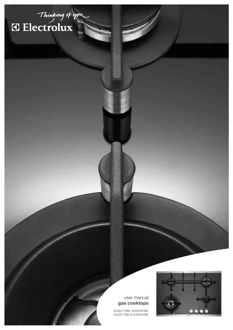 Page 1 de la notice Manuel utilisateur Electrolux EHGF97BX