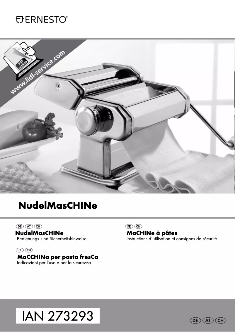 Page n°1 - Manuel utilisateur Ernesto IAN 273293