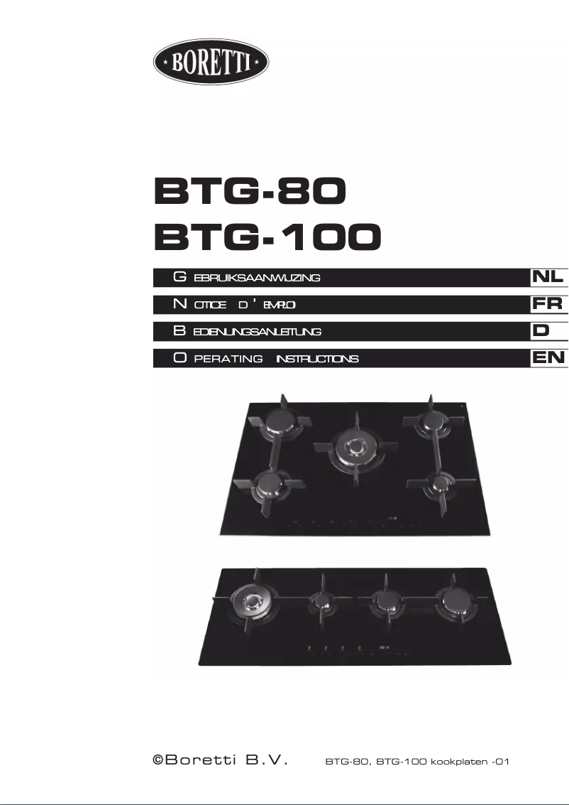 Page n°1 - Manuel utilisateur Boretti BTG100