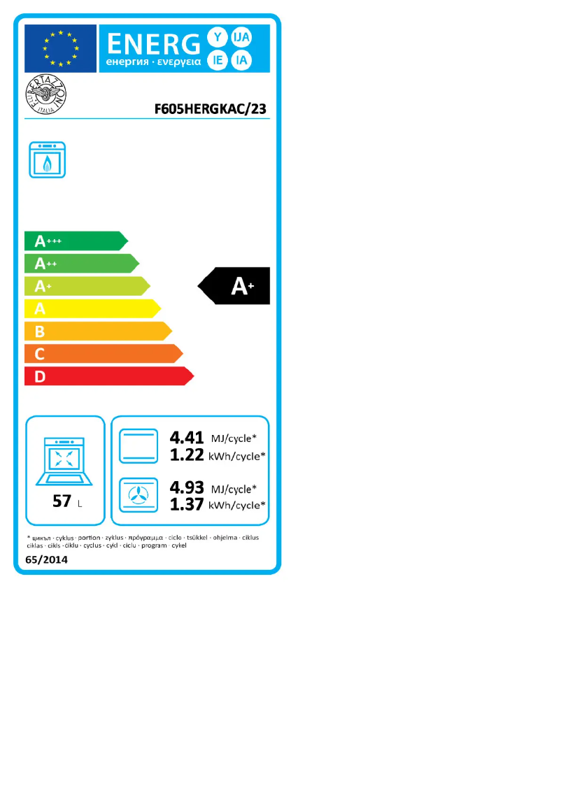 Image de la première page du manuel de l'appareil F605HERGKNE