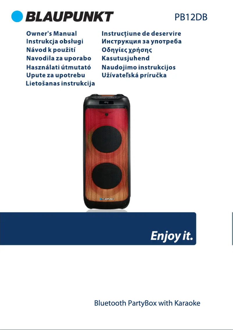 Page n°1 - Manuel utilisateur Blaupunkt PB12DB