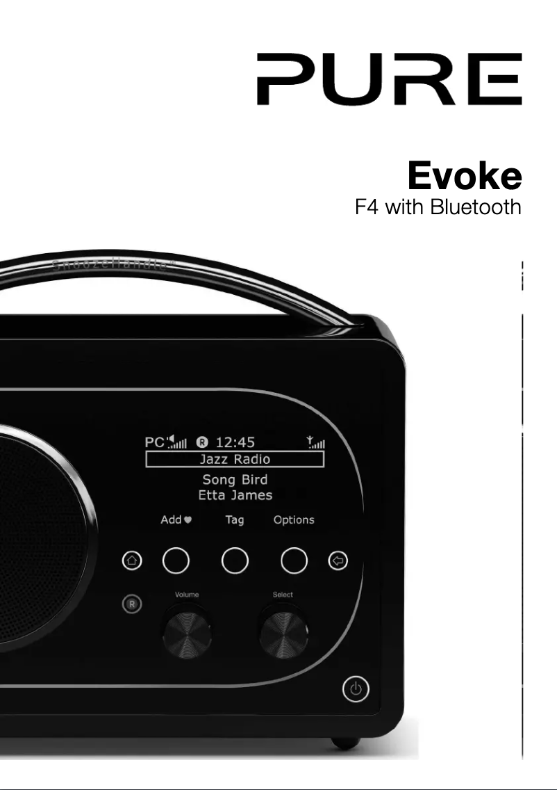 Page n°1 - Manuel utilisateur Pure Evoke F4 with Bluetooth