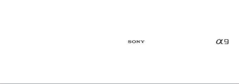 Image de la première page du manuel de l'appareil Alpha A9