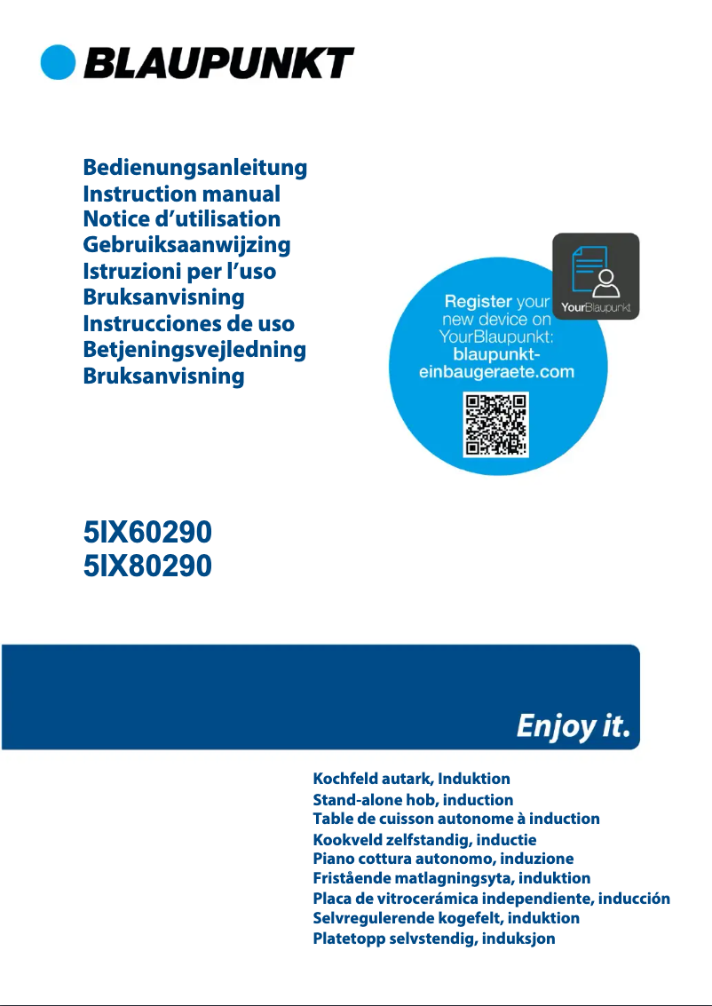 Page n°1 - Manuel utilisateur Blaupunkt 5IX60290