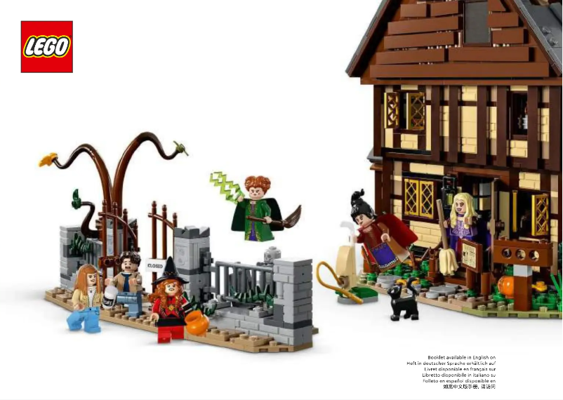 Page n°1 - Manuel utilisateur Lego Ideas 21341