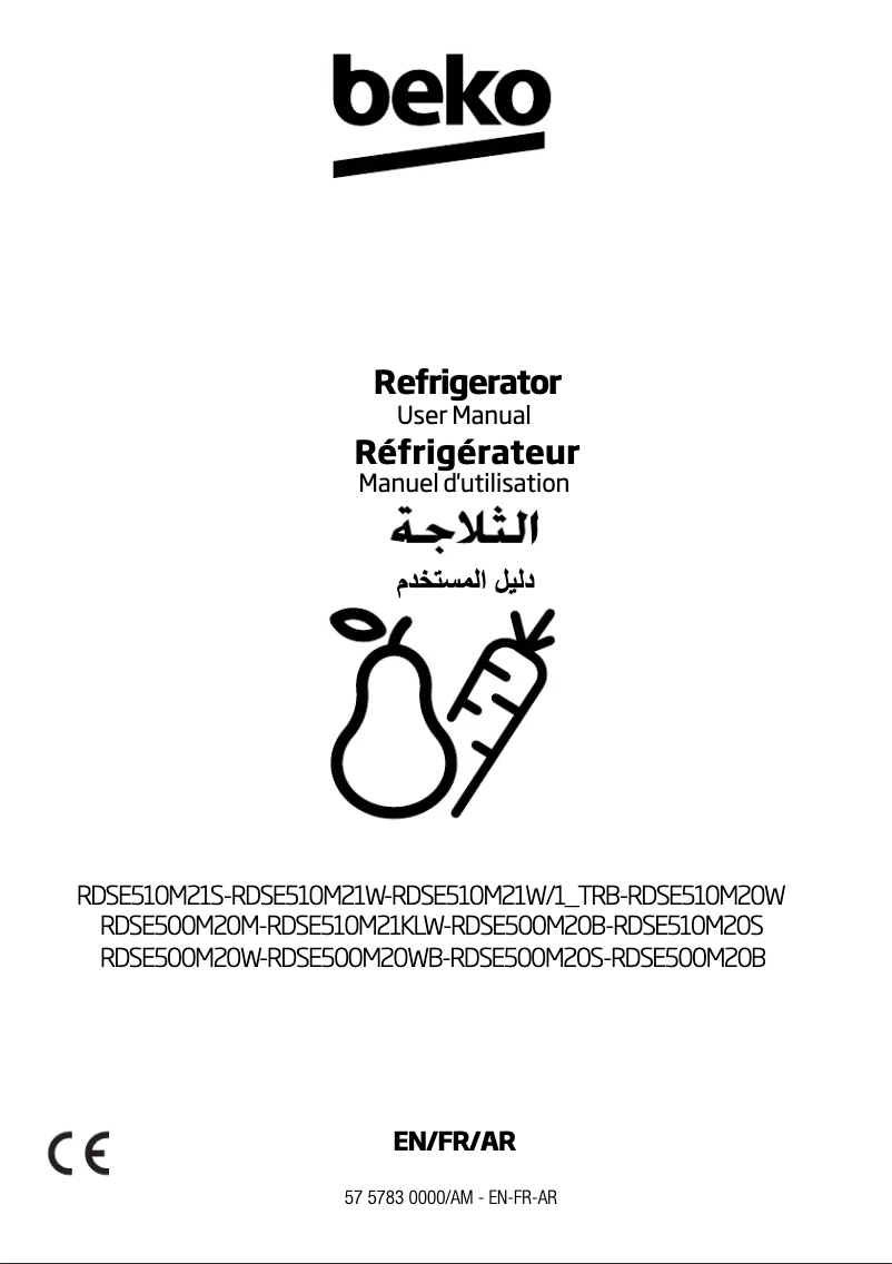 Image de la première page du manuel de l'appareil RDSE500M20B