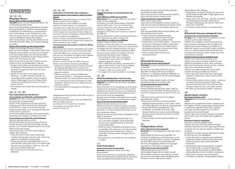 Page n°1 - Manuel utilisateur Ernesto IAN 93624