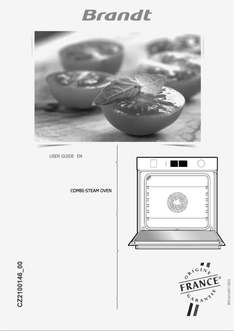 Image de la première page du manuel de l'appareil BOR7586G