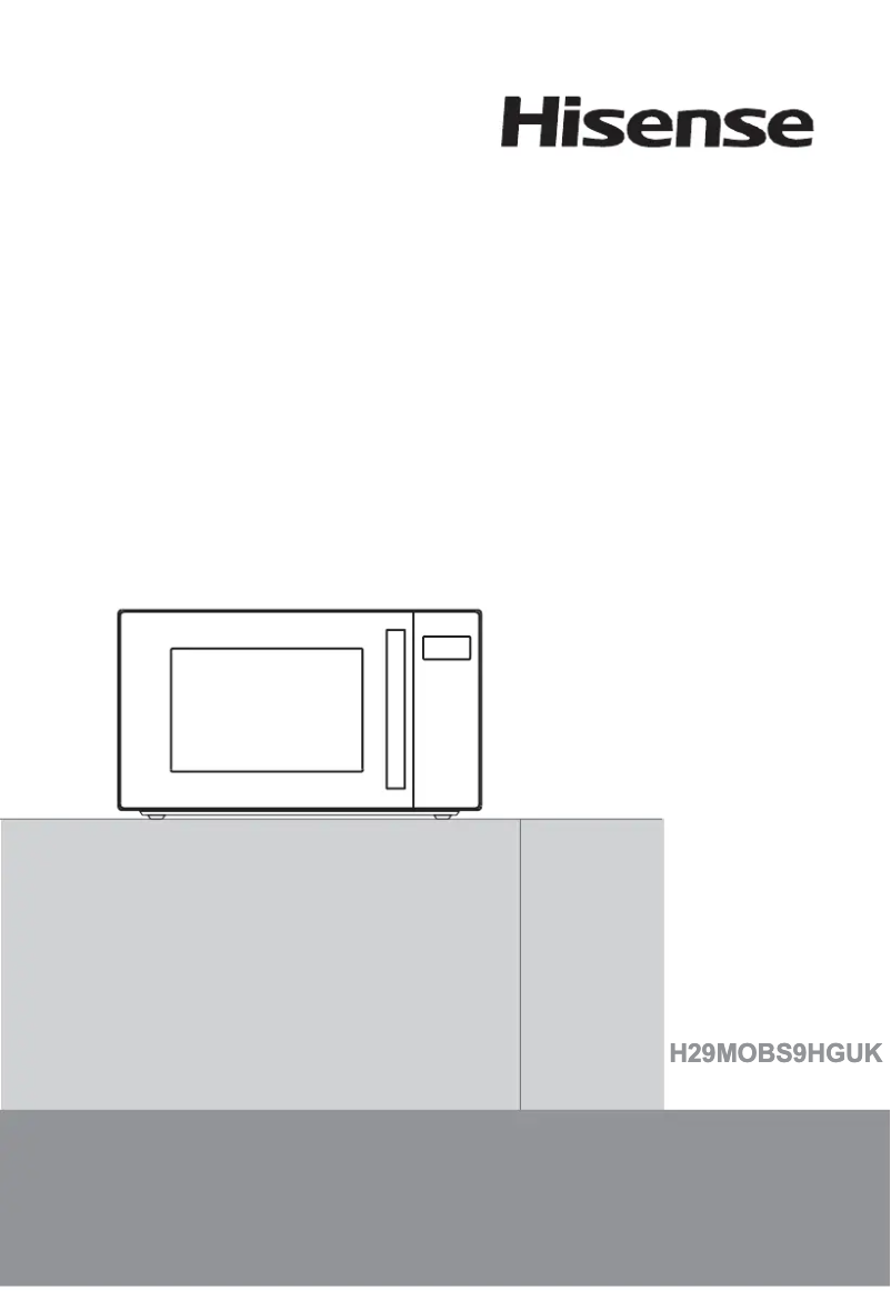Page 1 of the manual User Manual Hisense H29MOBS9HGUK