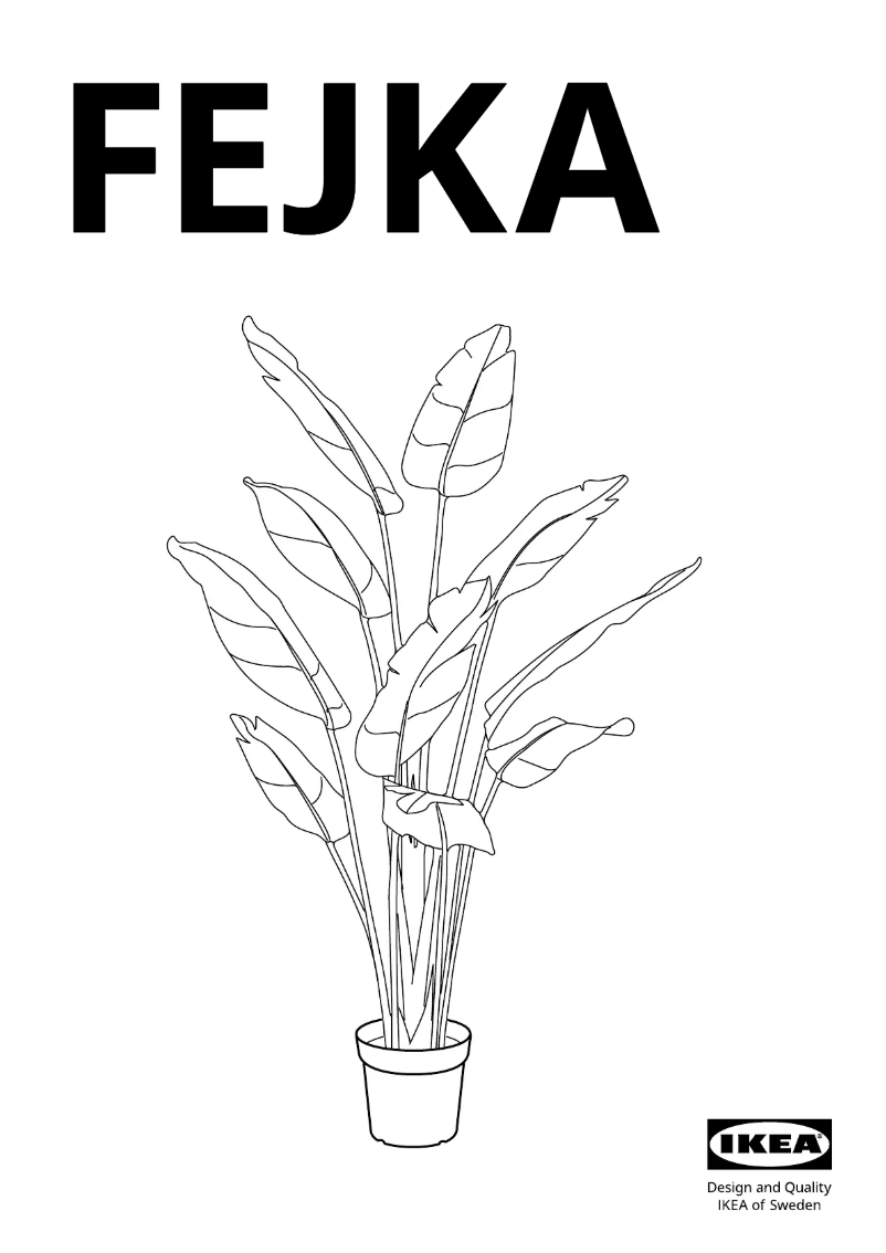 Image de la première page du manuel de l'appareil FEJKA 305.780.71