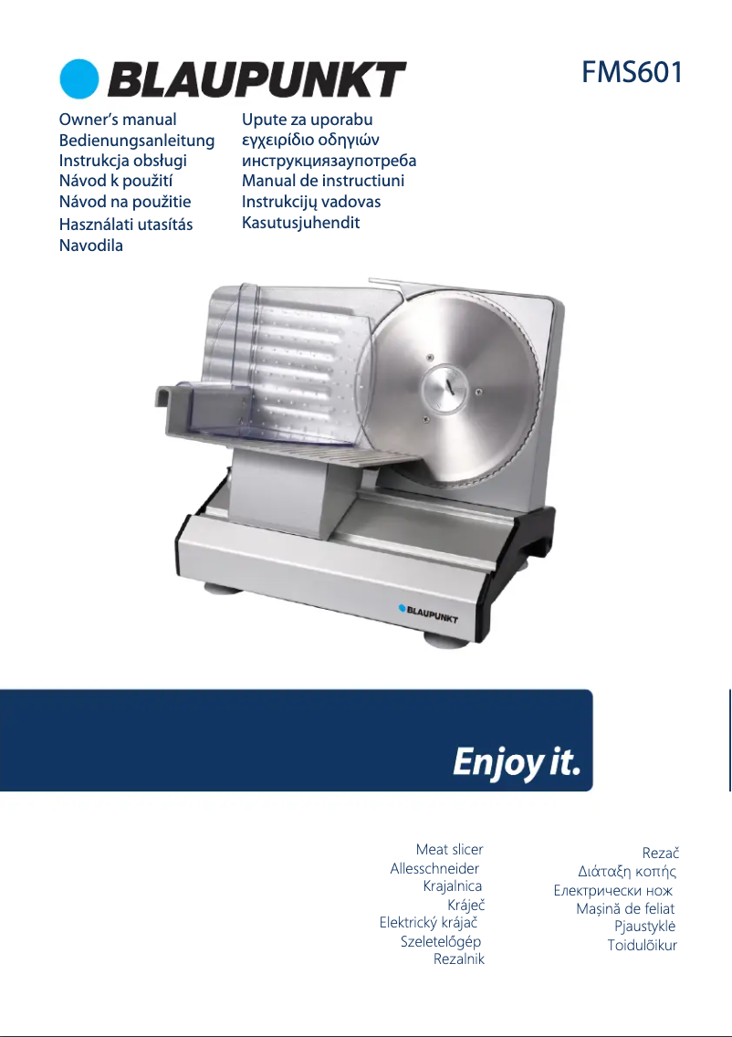 Page n°1 - Manuel utilisateur Blaupunkt FMS601