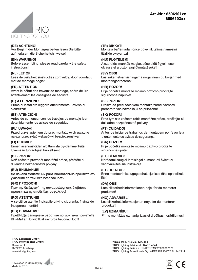 Page 1 de la notice Manuel utilisateur Trio Lighting Zagros 650610132