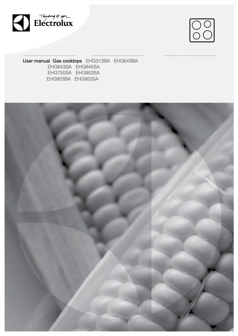 Page 1 de la notice Manuel utilisateur Electrolux EHG953BA
