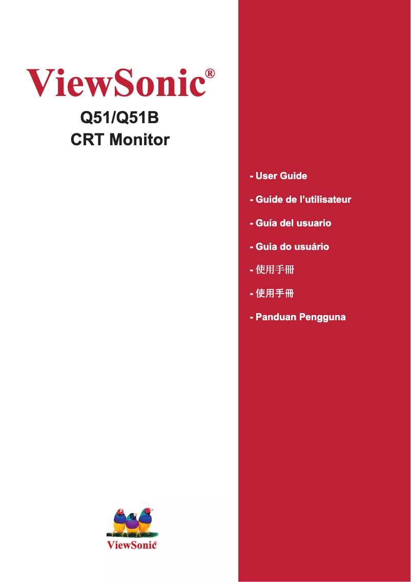 Page 1 de la notice Manuel utilisateur Viewsonic Optiquest Q51B