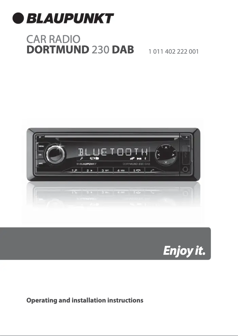 Page 1 de la notice Manuel utilisateur Blaupunkt Dortmund 230 DAB