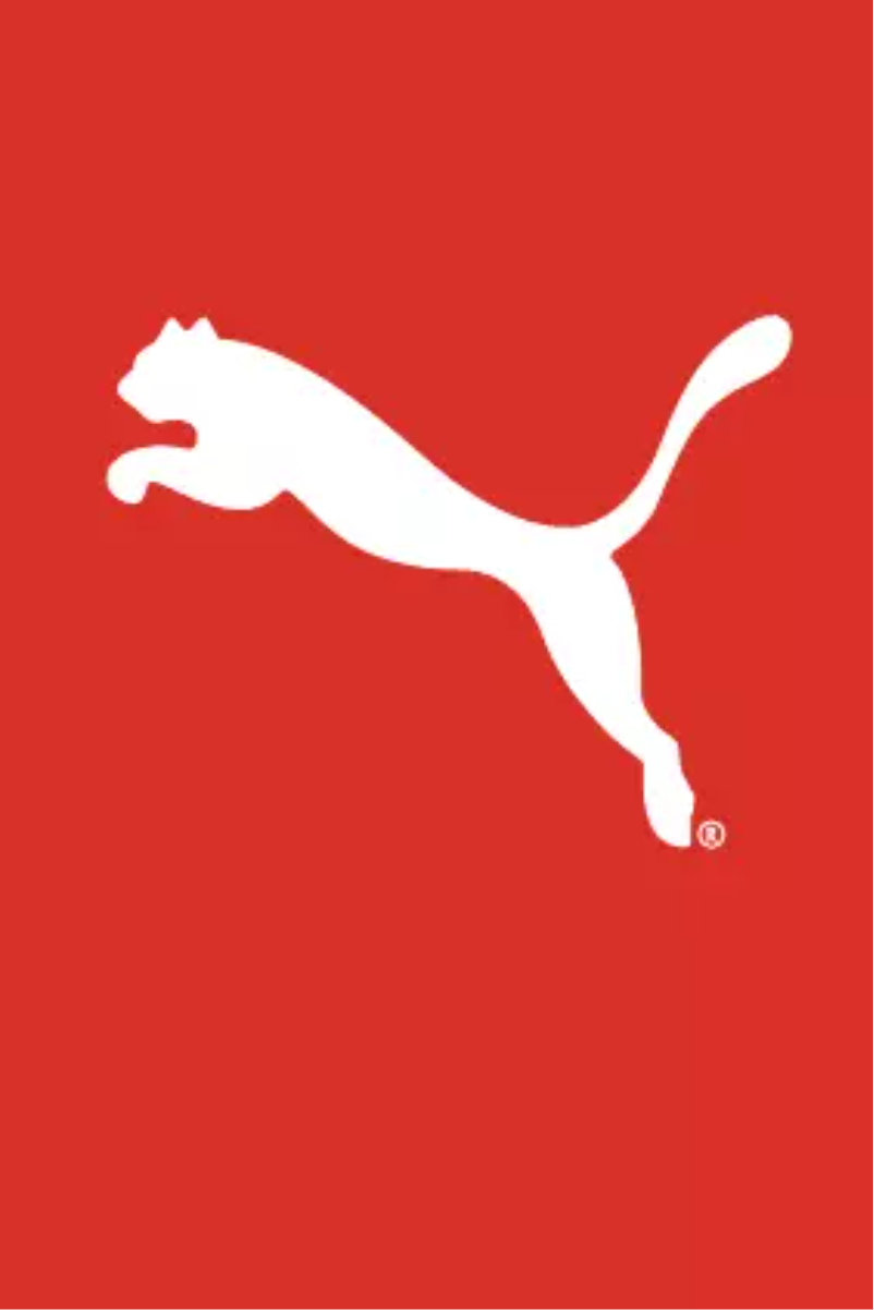 Page 1 de la notice Manuel utilisateur Puma Flux