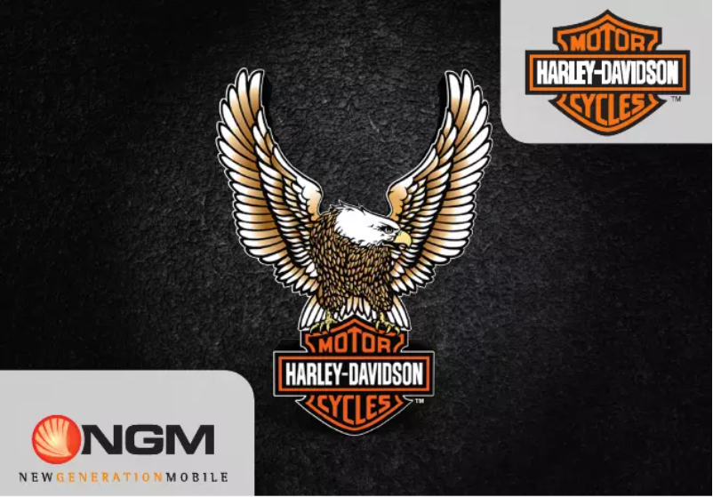 Page 1 de la notice Manuel utilisateur NGM-Mobile Harley-Davidson