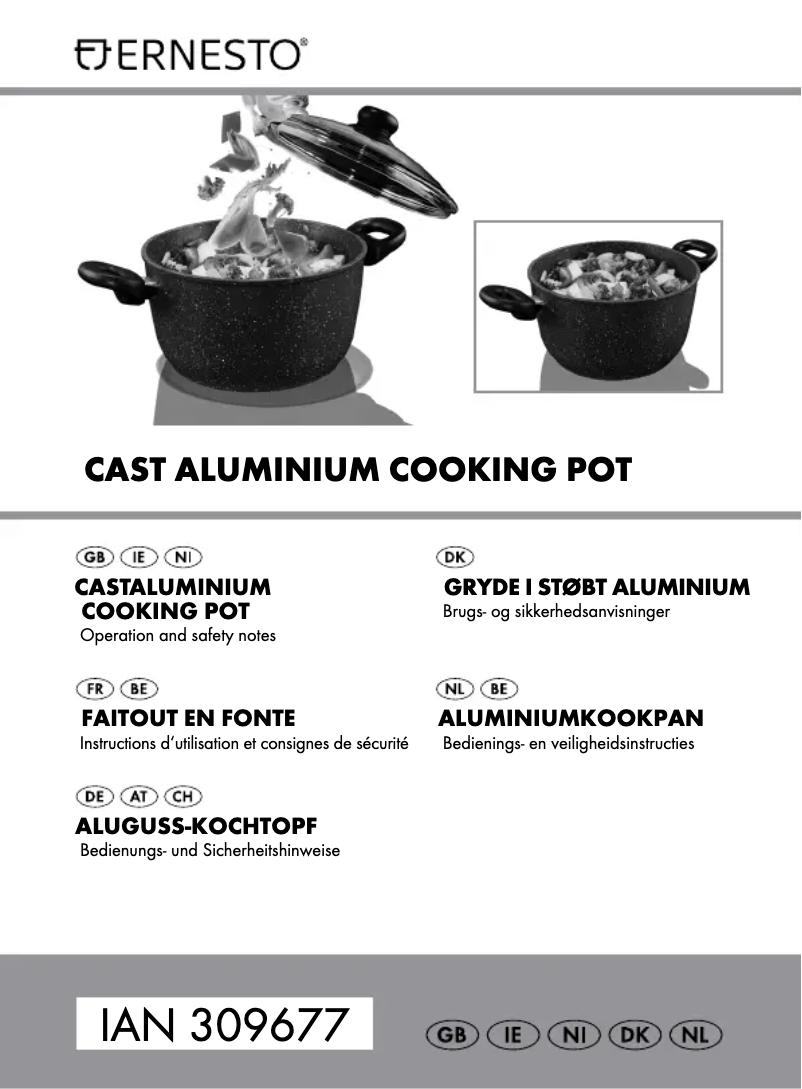 Image de la première page du manuel de l'appareil IAN 309677