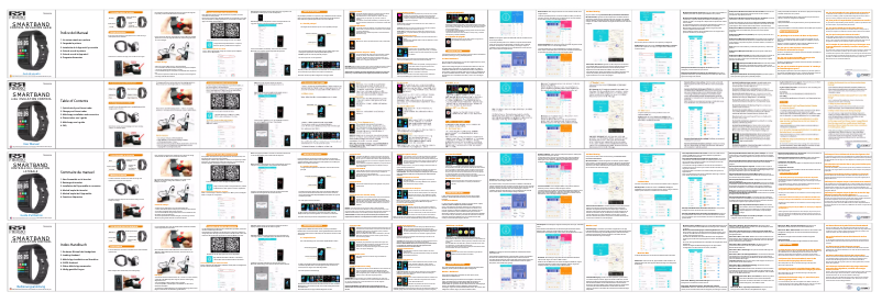 Page n°1 - Manuel utilisateur Fierro TE.03.0350.29