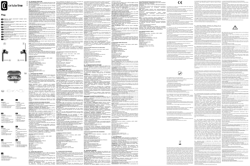 Page n°1 - Manuel utilisateur Cellular Line Flag