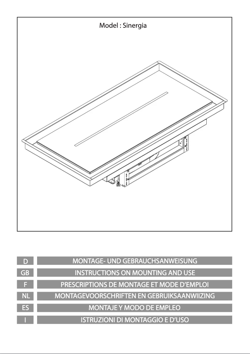 Image de la première page du manuel de l'appareil Sinergia