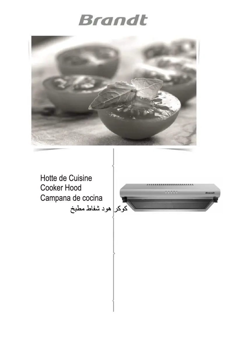 Page n°1 - Manuel utilisateur Brandt BHC6601X