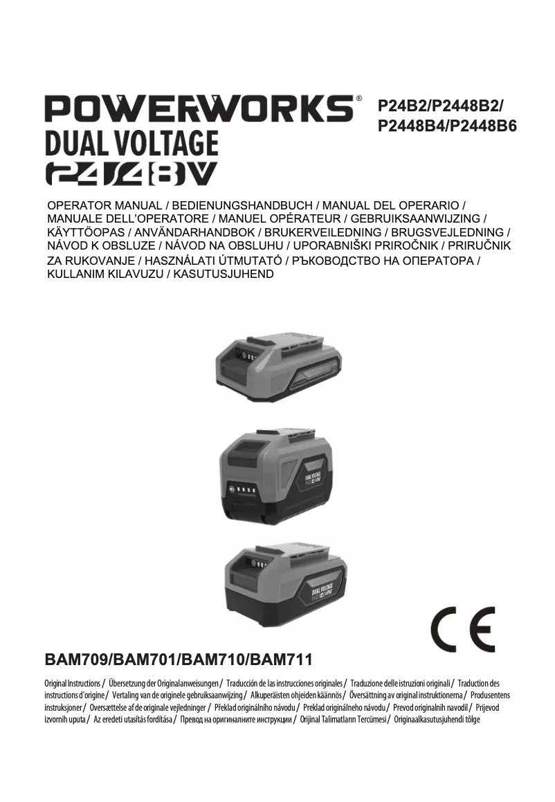 Page 1 de la notice Manuel utilisateur Powerworks P2448B2