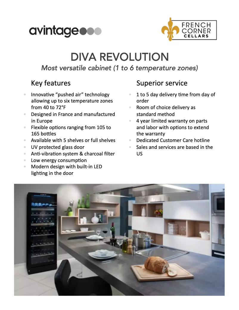 Page 1 de la notice Manuel utilisateur Avintage DIVAREVO195C