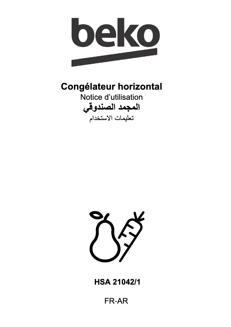 Image de la première page du manuel de l'appareil HSA 21042/1