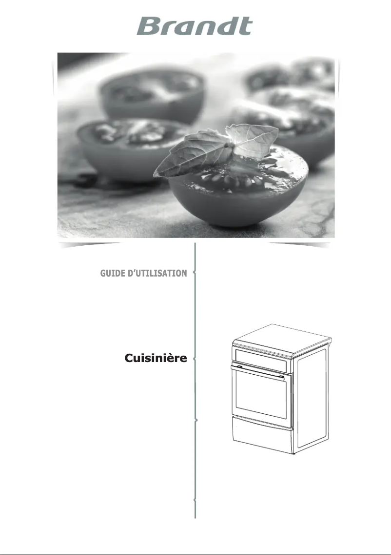 Page 1 de la notice Manuel utilisateur Brandt KIP100W
