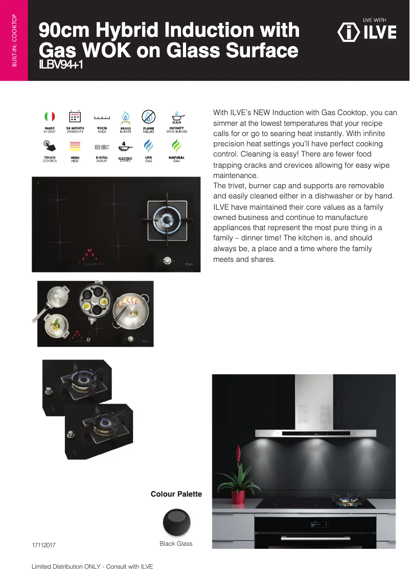 Image de la première page du manuel de l'appareil ILBV94+1