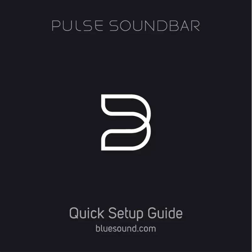 Página 1 del manual Manual de usuario Bluesound Pulse